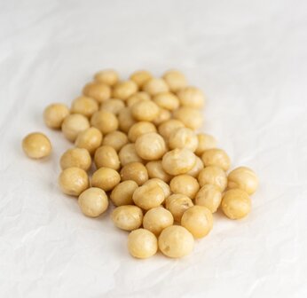 Macadamia noten gezouten