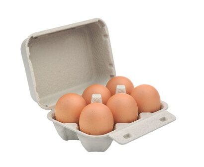 Scharreleieren M 6 stuks