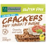 Damhert Gluten Free Cracker haver lactosevrij