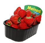 Hollandse Meinardi aardbeien