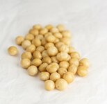Macadamia noten gezouten